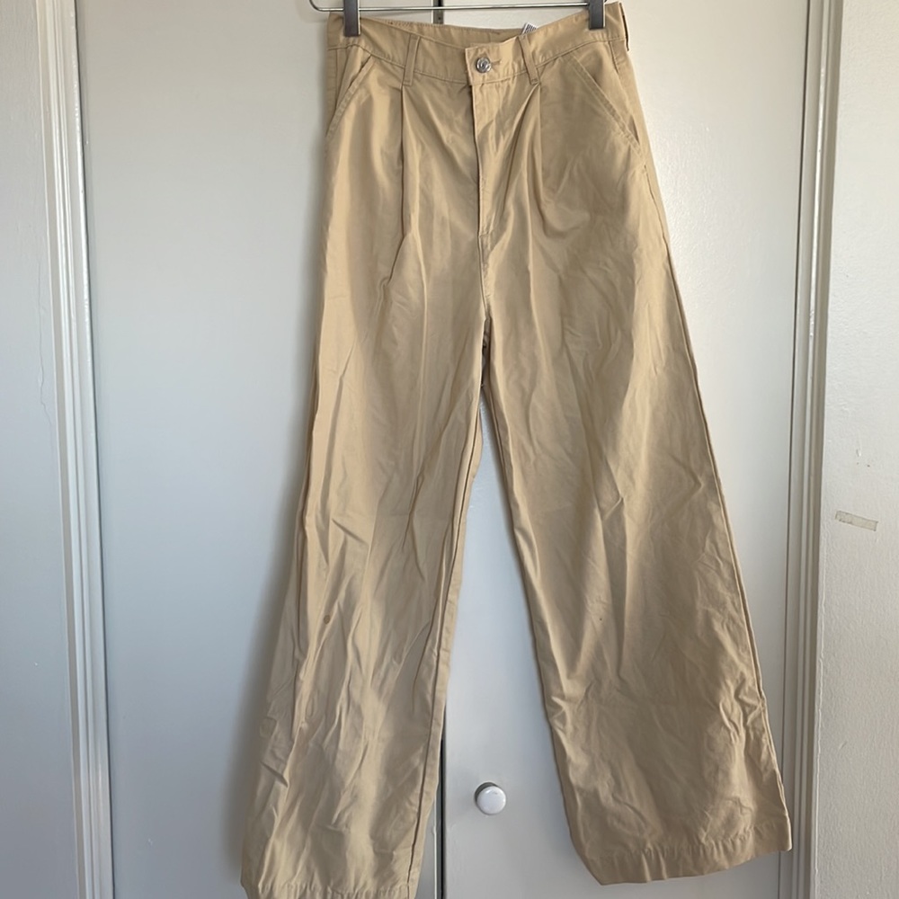 High Loose Levi Carpenter Pant